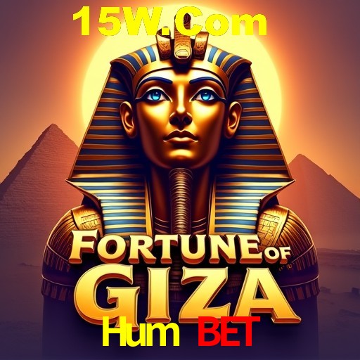 A Experiência Imersiva dos Cassinos Ao Vivo no Hum Bet